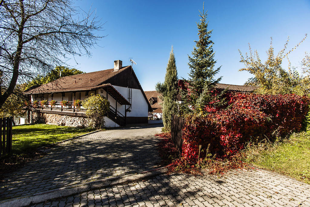 Pension U Dvou Capu Chocerady 部屋 写真